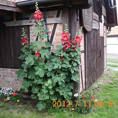 Apartment Ferienwohnung Kallfass *